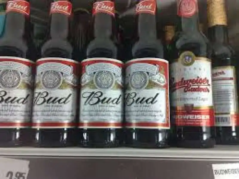 budweiser