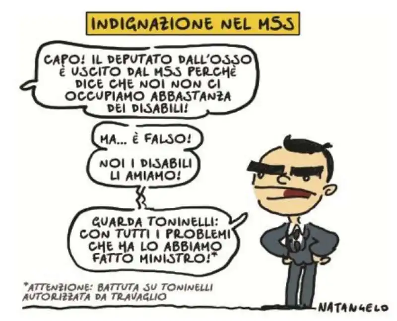 NATANGELO SU TONINELLI 