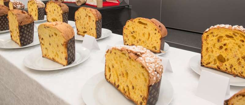 panettone 1