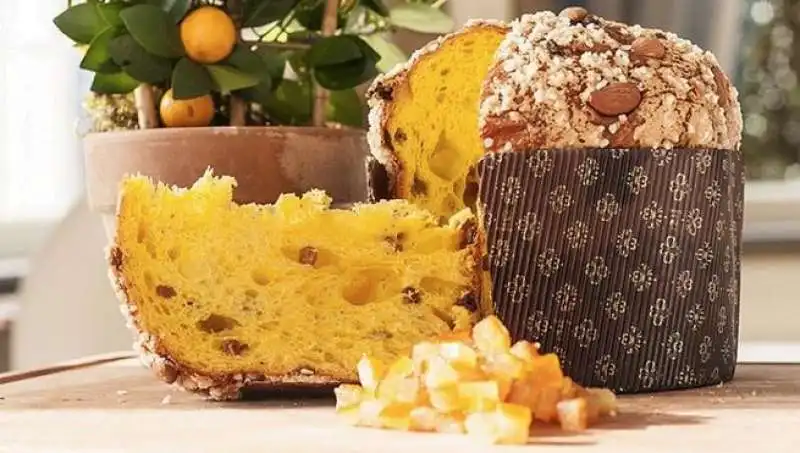 panettone 2