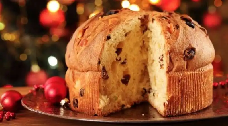 panettone 6