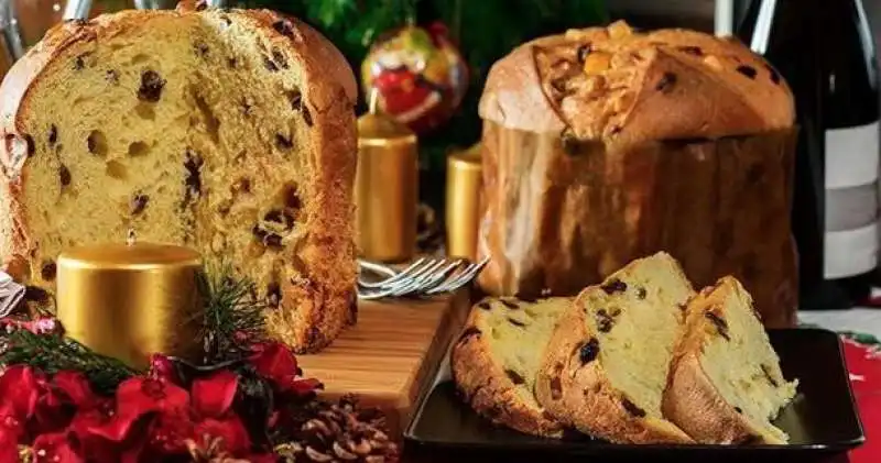 panettone 7