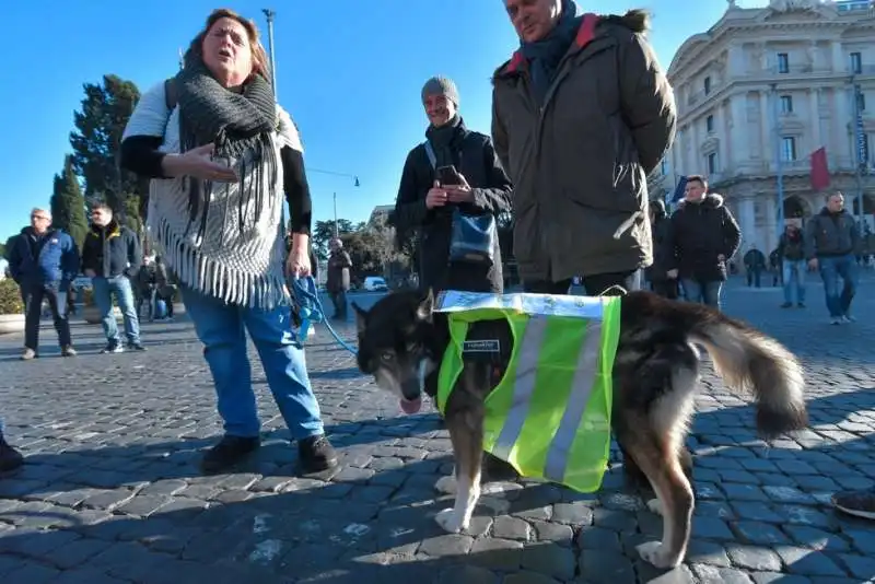 protesta degli ncc a roma 25