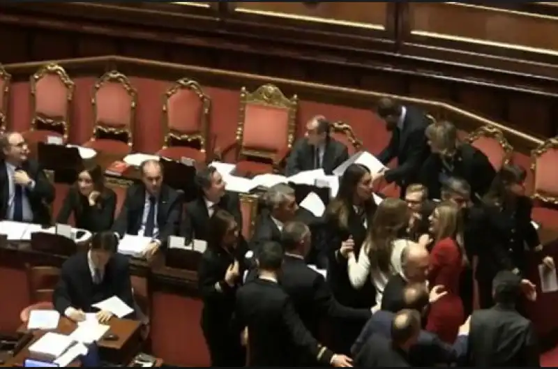 senato manovra