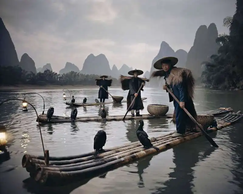 yang shuo cormorants, cina