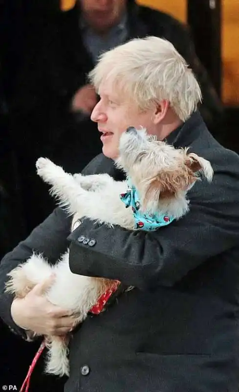 boris johnson bacia il suo cane dilyn mentre va a votare 1