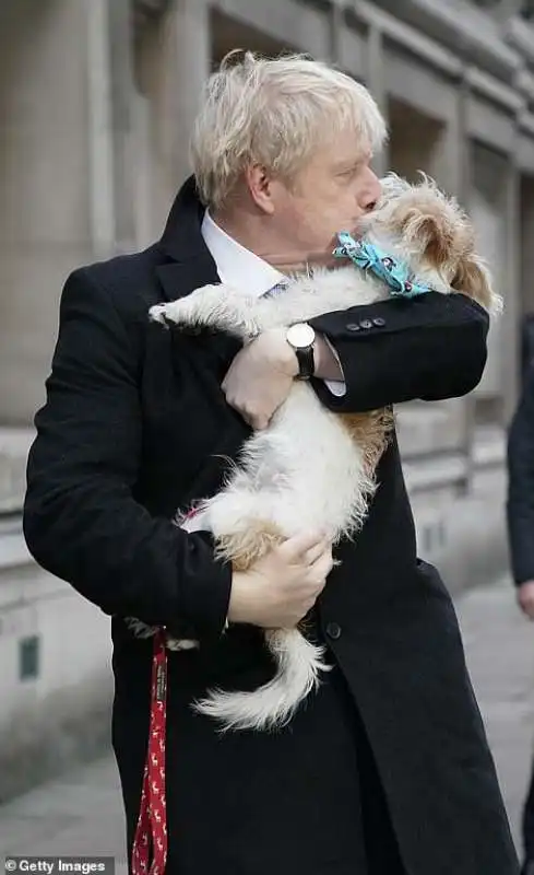 boris johnson bacia il suo cane dilyn mentre va a votare