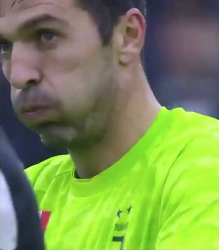 buffon  