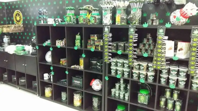 cannabis store amsterdam 4