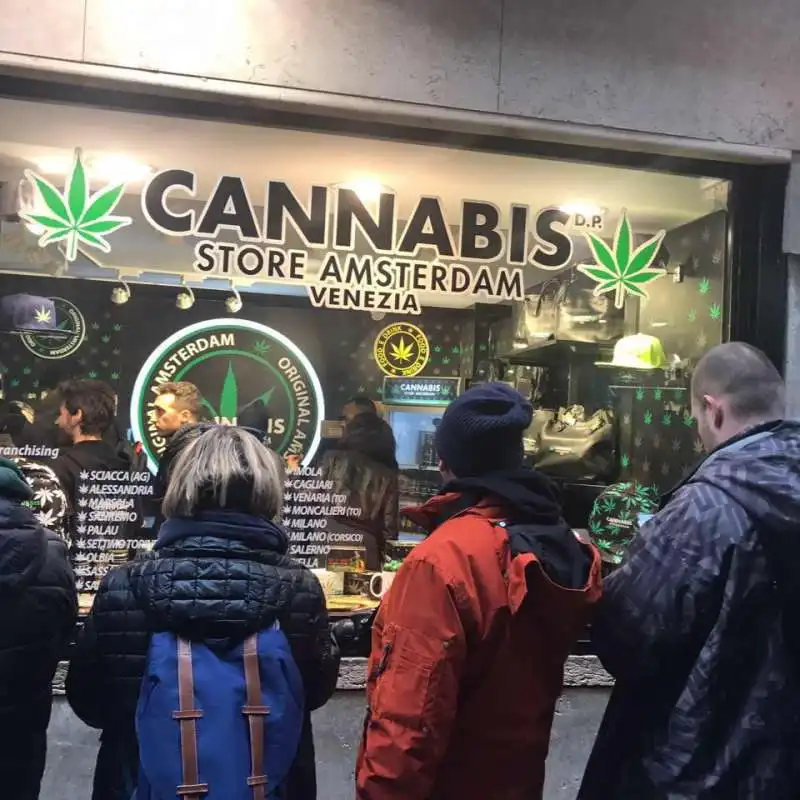 cannabis store amsterdam 7