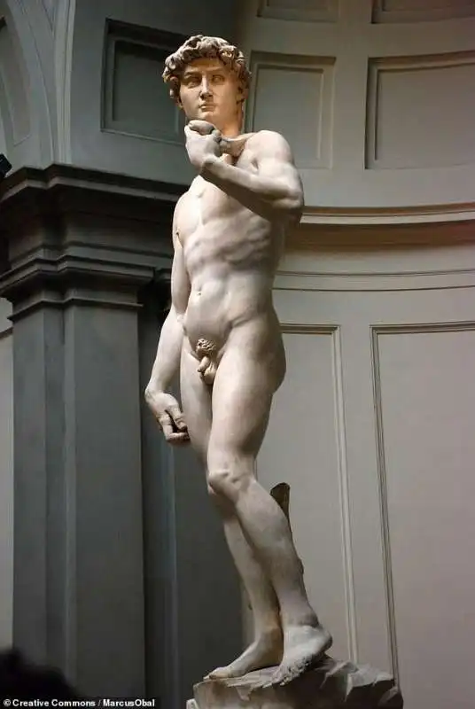 david di michelangelo