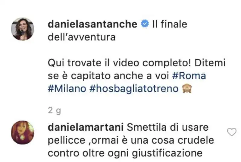 il commento di daniela martani alla santanche'