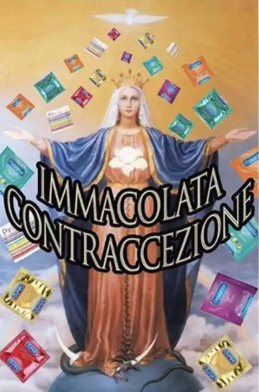 immacolata contraccezione   il party all'universita' di bologna che ha fatto incazzare pillon