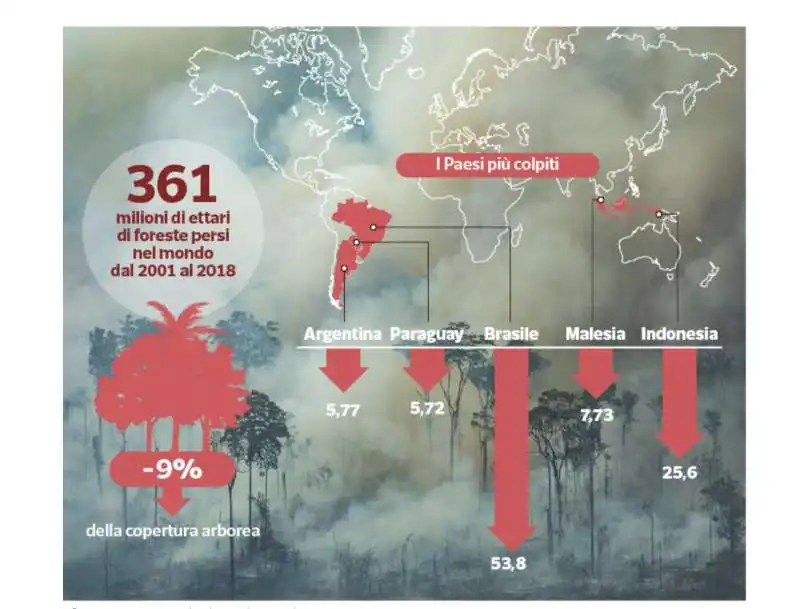 la deforestazione nel mondo