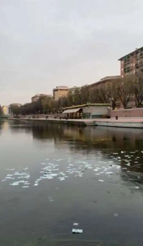 milano, banconote da 100 euro sui navigli 3