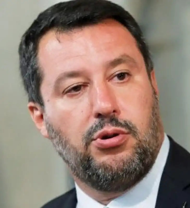 salvini