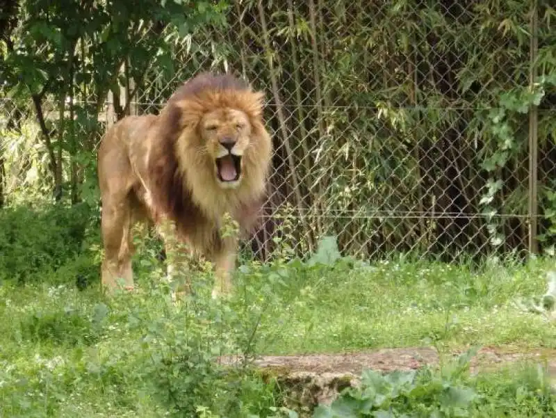 zoo de doue la fontaine