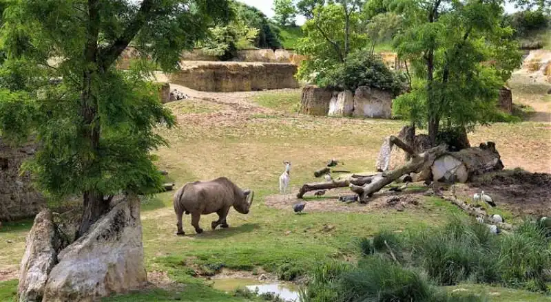 zoo de doue la fontaine 2