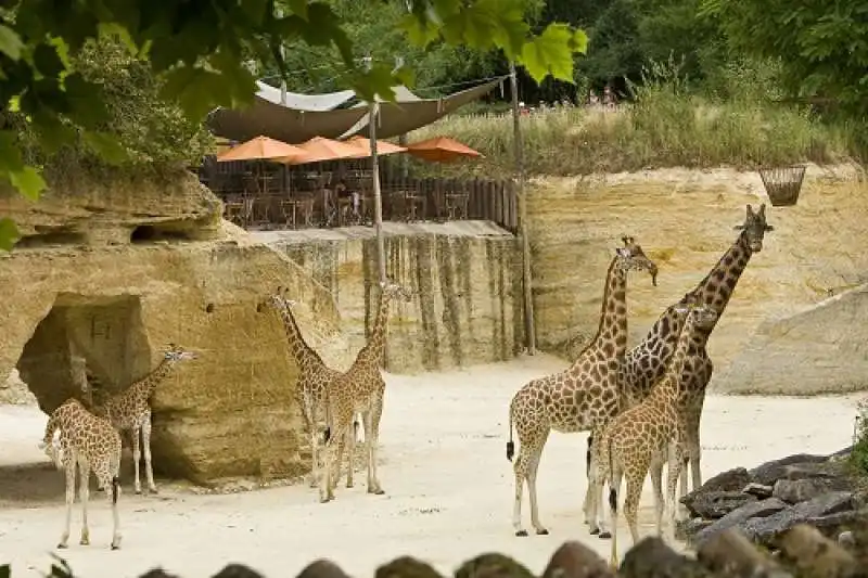 zoo de doue la fontaine 3