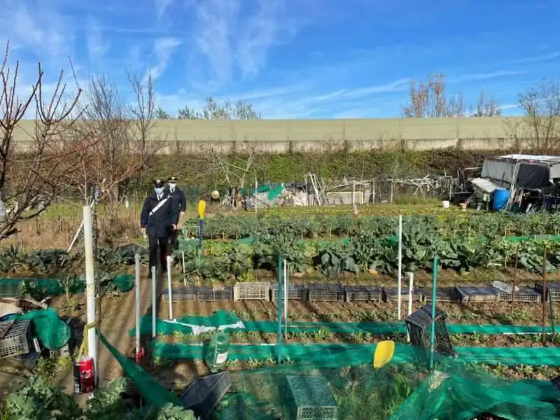 il campo dove sono state trovate le valigie con i resti umani a firenze 5