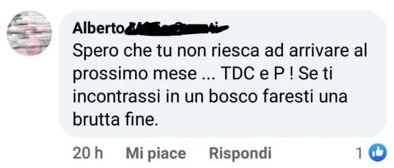 insulti sessisti sotto il post di sergio berlato 10