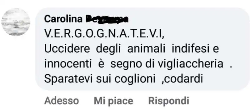 insulti sessisti sotto il post di sergio berlato 14