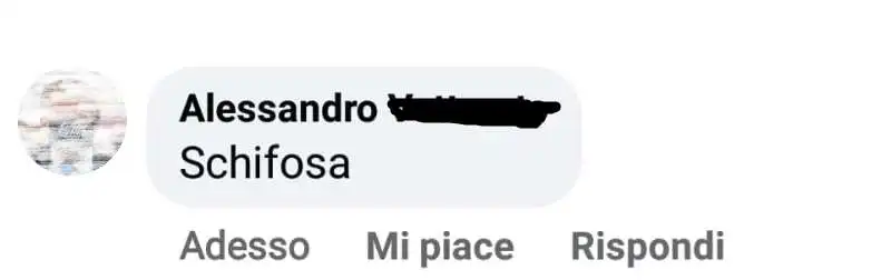 insulti sessisti sotto il post di sergio berlato 15