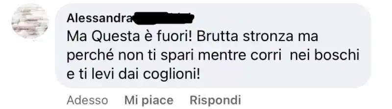 insulti sessisti sotto il post di sergio berlato 18