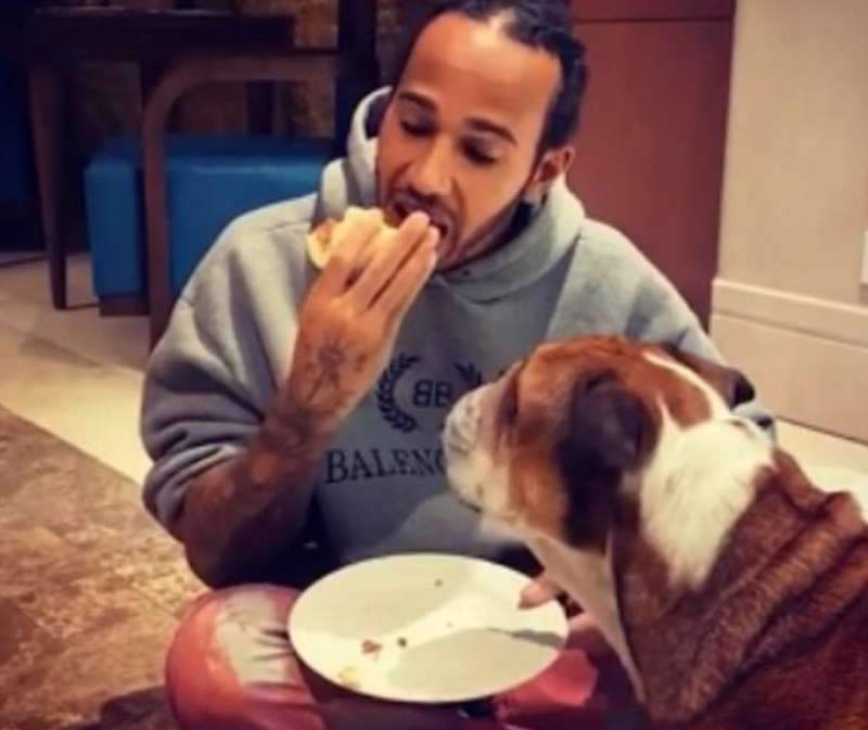 lewis hamilton divide il cibo col cane 1