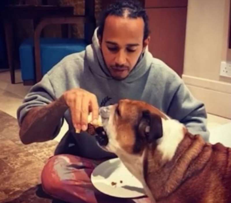 lewis hamilton divide il cibo col cane 2