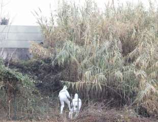 ricerche a firenze sollicciano dopo il ritrovamento dei resti umani nelle valigie 12