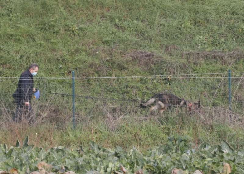 ricerche a firenze sollicciano dopo il ritrovamento dei resti umani nelle valigie 6