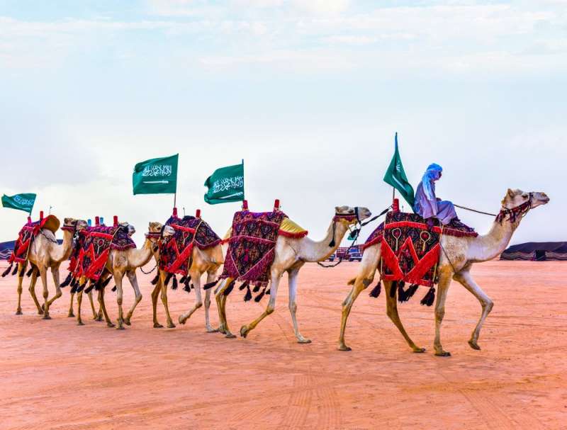 abdulaziz camel festival 10