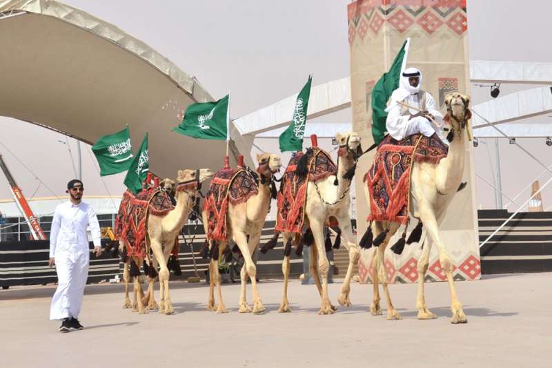 abdulaziz camel festival 8