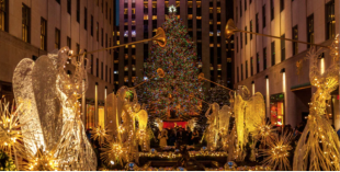 albero new york