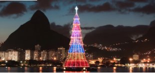 albero rio de janeiro