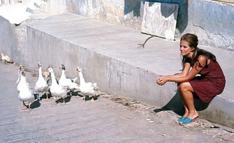 claudia cardinale ph giorgio lotti