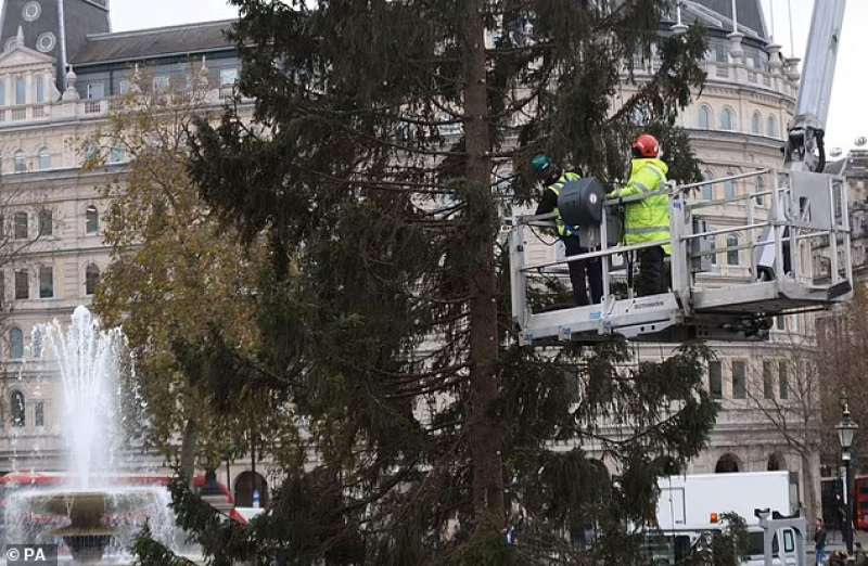 Installazione albero di Natale a Londra 3