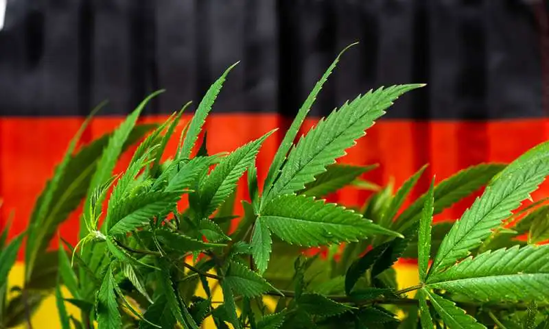 marijuana germania 2