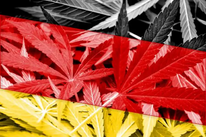 marijuana germania 4