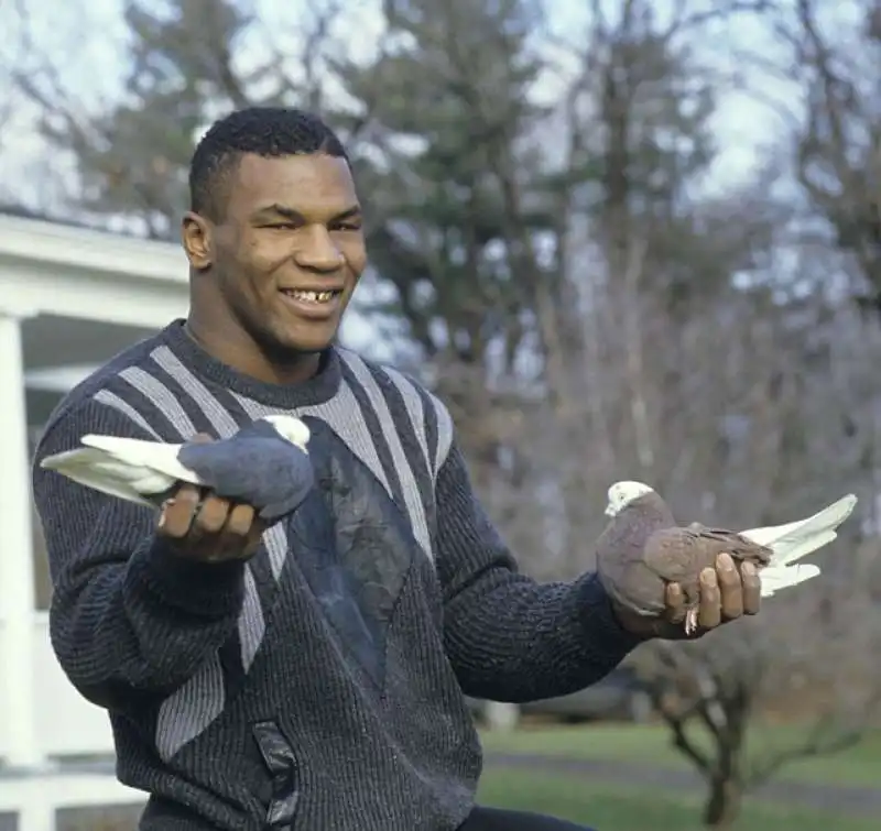 mike tyson e i piccioni 3