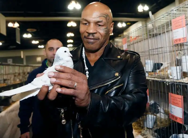 mike tyson e i piccioni 5