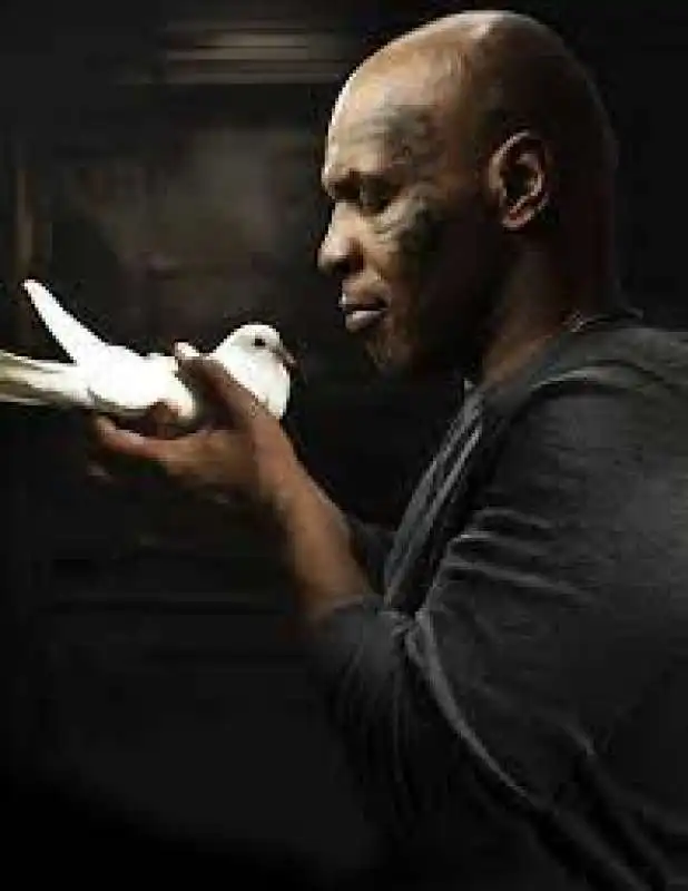 mike tyson e i piccioni 6