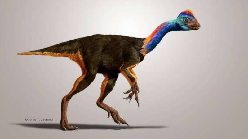 oviraptosauro 1