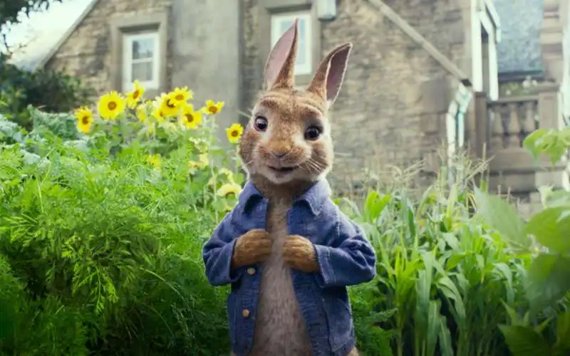 peter rabbit 