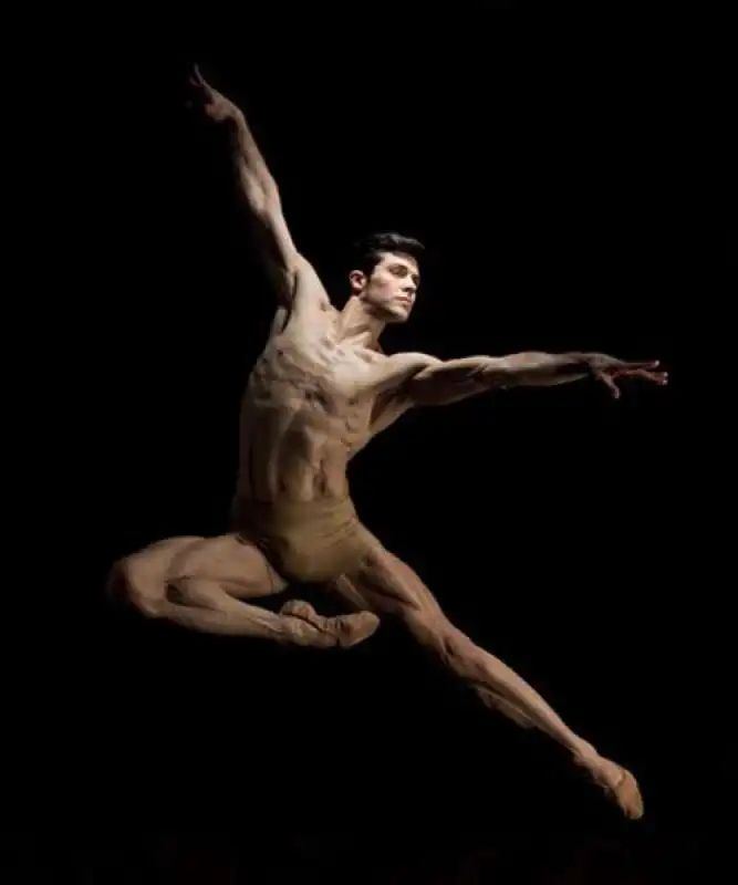 roberto bolle