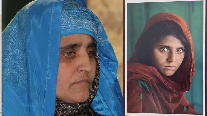 Sharbat Gula 5