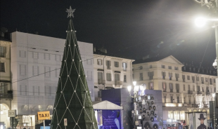 zerbino albero natale torino 4