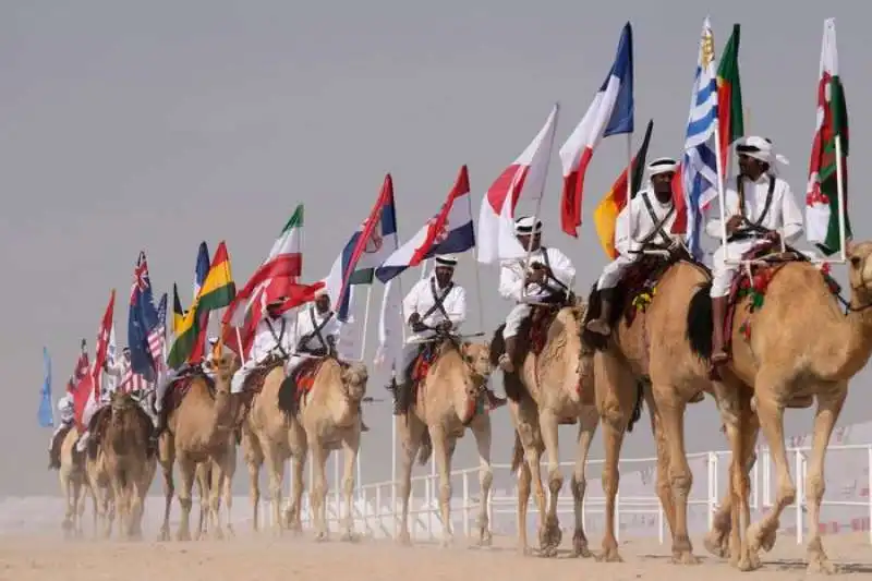 camel beauty contest in qatar 6