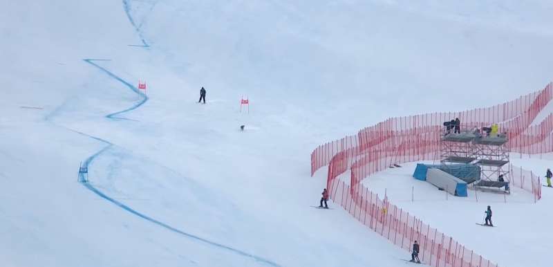 cane sulla pista di sci a bormio 3